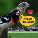 Cool Birds All Birds Wild Bird Seed – 10 lb. Classic Blend with Black Oil Sunflower, White Millet, Safflower, Peanuts & Sunflower Hearts – Balanced Bird Food for Outside Feeders