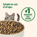 Nutrish Premium Natural Dry Cat Food, Real Chicken & Brown Rice Recipe, 14 Pounds (Packaging May Vary), (Rachael Ray Nutrish)