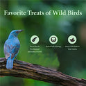 WORMSKING 2LB Dried Mealworms for Poultry, Wild Birds,Tasty Bird Food，Great Bird Watching Gift