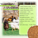 SANSECT 10 LB Dried Mealworms, 100% Natural, Non-GMO Mealworms for Chickens-High Protein Treats for Chickens, Ducks, Wild Birds
