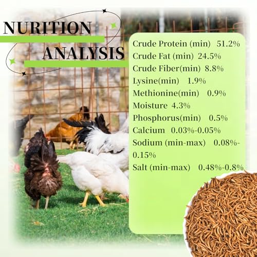 SANSECT 10 LB Dried Mealworms, 100% Natural, Non-GMO Mealworms for Chickens-High Protein Treats for Chickens, Ducks, Wild Birds