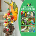 MQUPIN Parrot Toys, Nuts Nutrient-Rich Bird Toys,Natural Wooden Parrot Cage Bite Toy,Chewing Toy Containing Cuttlefish Bones,Pine Cones,Wooden Mangoes and Carambola for African Greys,Cockatoo,Budgie