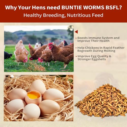 BUNTIE WORMS Dried Black Soldier Fly Larvae 10LB, 100% Natural Non-GMO, No Additives, Treat for Chickens, Reptiles and Birds, More Calcium Than Mealworms