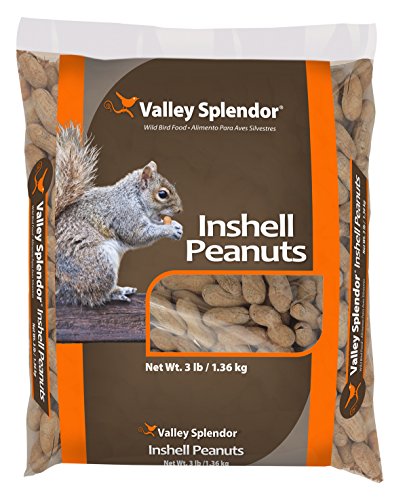Red River Commodities 347 Peanuts In A Shell 3lbs.
