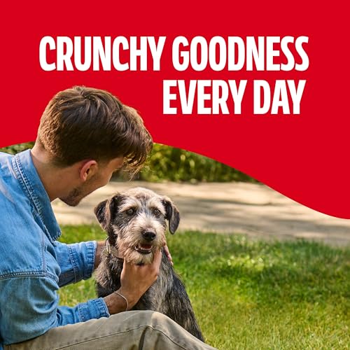 Milk-Bone GravyBones Dog Biscuits, Gravy Coated Small Dog Treats, 7 Lb. Box