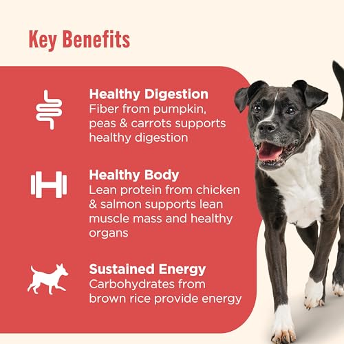 Nutrish Gentle Digestion Premium Paté Wet Dog Food, Real Chicken, Pumpkin & Salmon Recipe, 13 oz. Can, 12 Count (Rachael Ray)