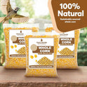 Whole Corn 10 LB– Premium Bird Seed & Wildlife Feed for Ducks, Deer, Squirrels, Chickens, and Turkeys – Whole Corn for Wild Birds – Grown in USA
