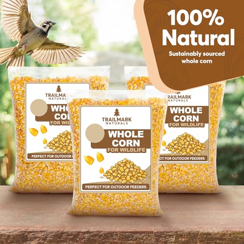 Whole Corn 10 LB– Premium Bird Seed & Wildlife Feed for Ducks, Deer, Squirrels, Chickens, and Turkeys – Whole Corn for Wild Birds – Grown in USA