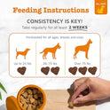 Zesty Paws Omega 3 Alaskan Fish Oil Chew Treats for Dogs - with AlaskOmega for EPA & DHA Fatty Acids - Hip & Joint Support + Skin & Coat Chicken Flavor (90 Soft Chews)