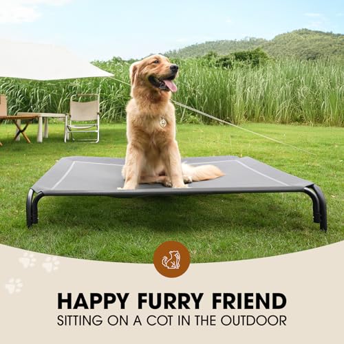 Czpalo Elevated Dog Bed