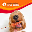 Good ‘n’ Fun Triple Flavor Twists for All Dogs, Treat Your Dog to Long-Lasting Chews Made with Beef Hide, Pork Hide and Chicken, 70 Count