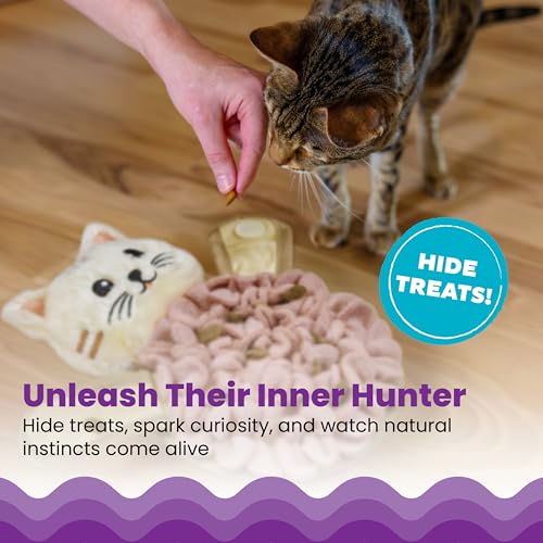 Catstages Snuffle Mat for Cats - Interactive Foraging Toy with Hidden Treats, Non-Slip Base, and Hunting Stimulation for Mental and Physical Activity, 8.7" x 6"