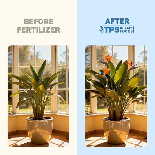 Bird of Paradise Fertilizer – Liquid Plant Food for Bigger Tropical Leaves, Stronger Roots & Healthy Upright Growth, 8 oz