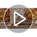 Sneaky Mango - Raw Peanuts in Shell - 10 Pounds – All-Natural Food for Squirrels, Deer, Birds, and Other Wildlife Animals – Grown in the USA for Healthy Nutrition