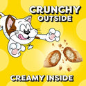 Temptations Cat Treats Classic Crunchy and Soft Cat Treats, Tasty Chicken Flavor, 30 oz. Tub