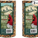 Mr. Bird Wild Bird Feast Cylinder 28 oz | Wild Bird Food for Outdoor Birds | Backyard Birdfeeding