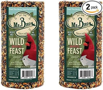 Mr. Bird Wild Bird Feast Cylinder 28 oz | Wild Bird Food for Outdoor Birds | Backyard Birdfeeding