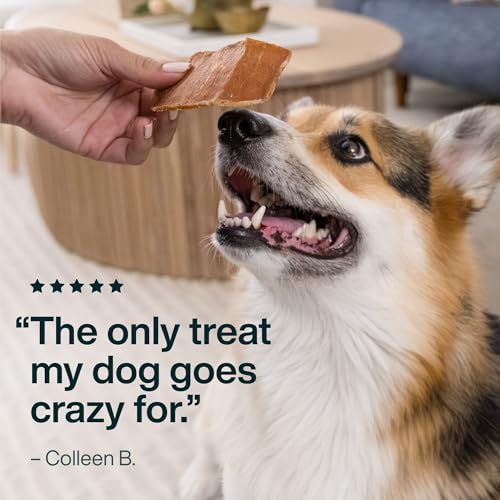 JustFoodForDogs Chicken Breast Jerky Dog Treats, Single Ingredient, Human Grade, Grain Free, Low Calorie Training Treats for Dogs, 18 oz