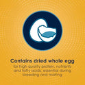 Kaytee Forti-Diet Pro Health Egg-Cite Pet Conure & Lovebird Food, 3 Pound