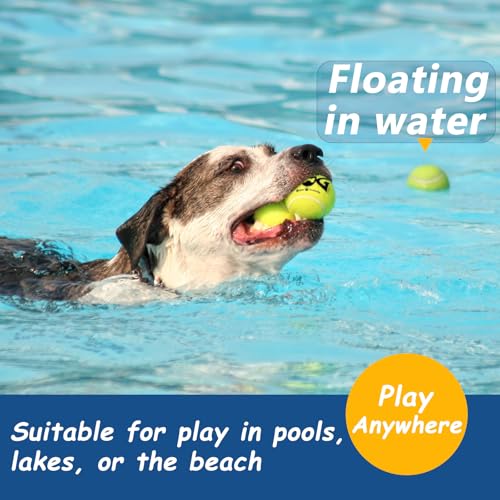 INSUM Tennis Balls for Dogs, 2.5in, 12-Pack