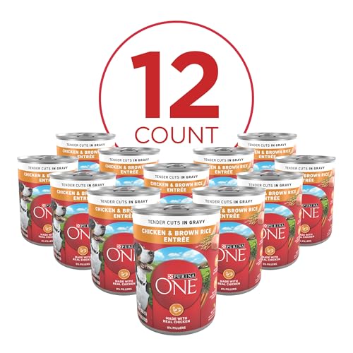 Purina ONE Natural High Protein Dog Food, Tender Cuts in Gravy Chicken and Brown Rice Entrée - 13 Ounce (Pack of 12)