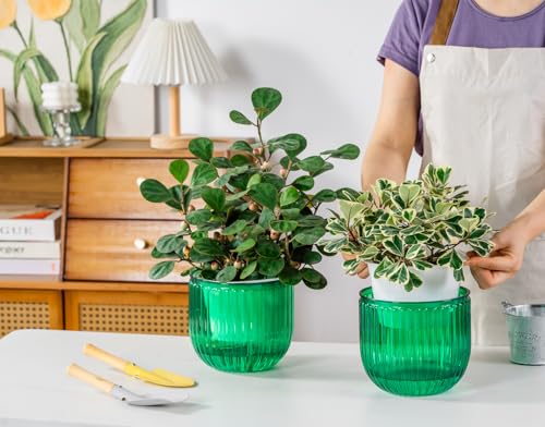 Melphoe 2 Pack Self Watering Hanging Planters Indoor Flower Pots, 6.5 Inch Outdoor Hanging Basket, Plant Hanger with 3Hooks Drainage Holes for Garden Home (Emerald)