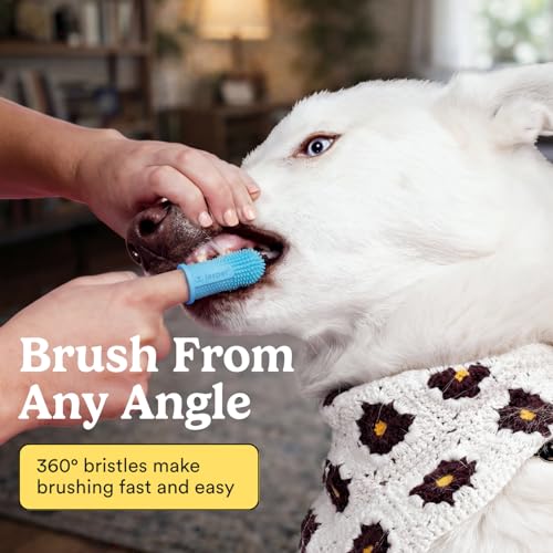 Jasper Dog Toothbrush, 2-Pack, Blue