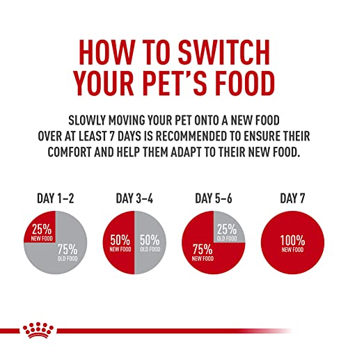 Royal Canin Feline Care Nutrition Digestive Care Adult Dry Cat Food, 6 lb Bag