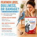 UnRuffledRx FeatherUp! Bird Molting Support & Feather Growth Supplement - for Plucking, Regrowth & Molt - Multivitamin & Amino Acids for All Birds - 90g (240 Servings)