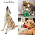 Nocciola Dog Squeaky Toys, Plush Small Dog Toys for Dogs, Stuffed with Squeakers,12 pcs Puppy Toys with a Carrying Bag for Small Medium Size