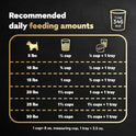 Cesar Small Breed Dry Dog Food for Small Dogs, Filet Mignon Flavor and Spring Vegetables Garnish, 12 lb Bag