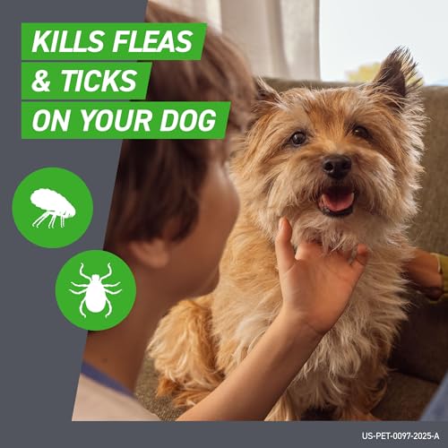FRONTLINE Plus Flea & Tick Spot Treatment for Small Breed Dogs 5-22 lbs. (Orange) Count of 3 | Trusted by pet owners for over 20 years, kills fleas, ticks & chewing lice, waterproof 24 hr