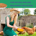 KAYHEN Dried Mealworms for Chickens 10LB Pure Natural Non-GMO High Protein Feed Meal Worms for Laying Hens Wild Birds