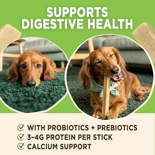 EcoKind Yogurt Dog Chews – Bacon | Dog Treats with Probiotics for Digestive Health, Gut Support & Wellness | Lactose Free, Grain Free, Natural Dog Treat | for All Breeds | USA Made | 25 Chews