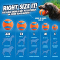 Chuckit! EcoFetch Dog Ball Launcher - 18" with Medium (2.5") Dog Fetch Ball Thrower, for Dogs 20-60 Pounds, Made in USA
