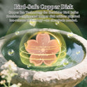 99.99% Pure Copper Bird Bath Disk, Triple Point Support Design Lower Cleaning Frequency for Physical Safe Water Purify Outdoor Bird Bowls All-Season (1, Copper Flower)