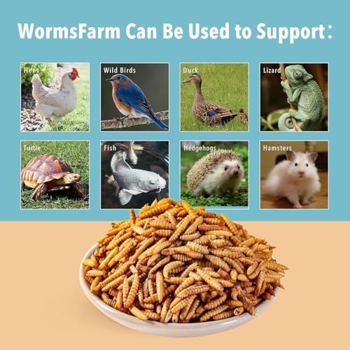 WormsFarm 5LB Dried Black Soldier Fly Larvae Treat for Chicken More Calcium Than Mealworms,for Laying Hen,Wild Birds (5 Pound)