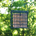 ST. ALBANS BAY SUET PLUS High Energy Suet Cakes, 20 Pack of 11 oz. Suet Cakes for Wild Birds