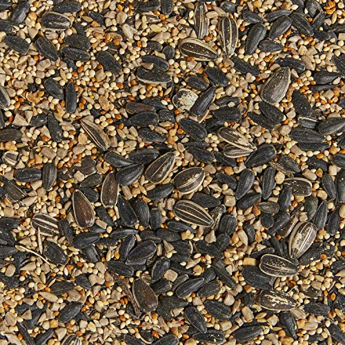 Kaytee Western Regional Wild Bird Seed, 7 lb