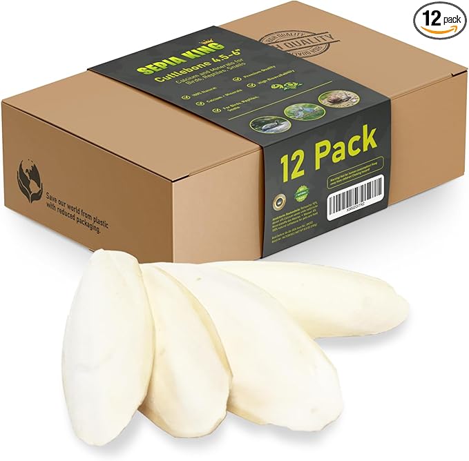 Sepia King - Medium - 100% Natural Calcium Supplement - Premium Cuttlebone Perfect for Birds, Tortoises, Snails, Reptiles - 12 Pack