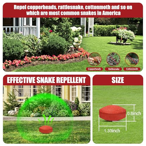 Snake Repellent for Yard, Powerful Outdoor Protection, Pet & Child Safe | Natural Snake Deterrent for Home, Garden, Camping Targets Copperhead & Rattlesnakes (12, 1 Count (Pack of 12))