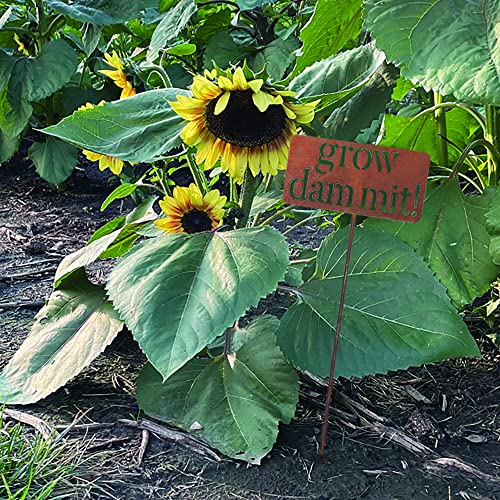Grow Dammit Funny Garden Sign, Unique Outside Gardening Decor Outdoor, Flower Vegetable Garden Accessories, Fun Gardening Gifts for Women Men Mom Gardener Who Love Plants, Alloy Steel