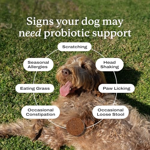 PetLab Co. Probiotic Chews for Dogs, 30 Soft Chews, Salmon | 8-strain probiotic blend with prebiotics to support digestive health, skin and seasonal allergy support