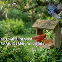 WORMSKING 2LB Dried Mealworms for Poultry, Wild Birds,Tasty Bird Food，Great Bird Watching Gift