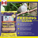 Hagen Pigeon & Dove Seed - Original Formula Bird Food, 6 lb Bag – Nutritionally Complete Seed Mix with Vitamins & Minerals – Wild & Captive Bird Diet – Insect-Resistant Air-Tight Packaging