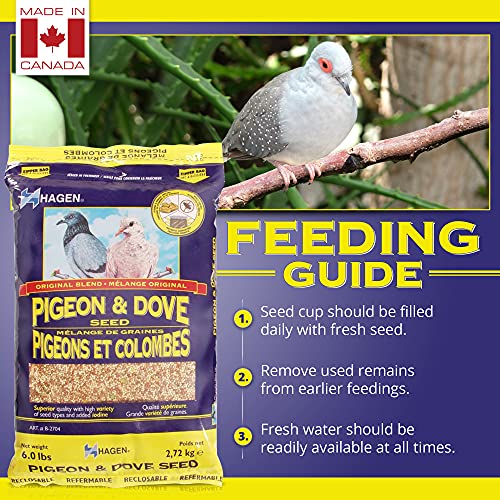Hagen Pigeon & Dove Seed - Original Formula Bird Food, 6 lb Bag – Nutritionally Complete Seed Mix with Vitamins & Minerals – Wild & Captive Bird Diet – Insect-Resistant Air-Tight Packaging