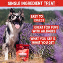 Stella & Chewy's Freeze-Dried Raw Chicken Heart Dog Treats - Single Ingredient, No Additives - Premium Training Treats - Perfect For Picky Eaters - 11oz Bag
