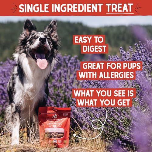 Stella & Chewy's Freeze-Dried Raw Chicken Heart Dog Treats - Single Ingredient, No Additives - Premium Training Treats - Perfect For Picky Eaters - 11oz Bag