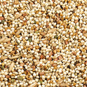 Wild Harvest Daily Blend Nutrition Diet for Parakeet, Canary and Finch 10 Pounds, Orange flavour