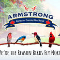 Armstrong Wild Bird Food Black Oil Sunflower Bird Seed, 25 Pounds - for Northern Cardinals, Blue Jays and Hairy Woodpeckers - Ideal for Outside Feeders